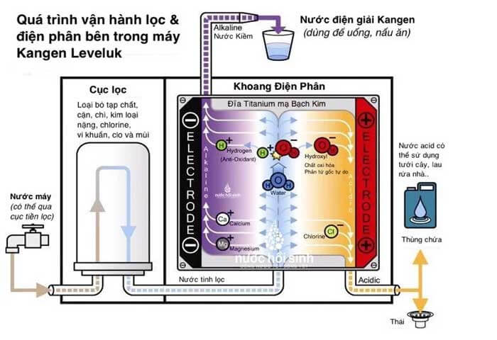 Nguyên lý làm việc của máy lọc nước ion kiềm Kangen